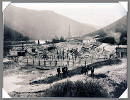 Bitte klicken f�r Gro�ansicht