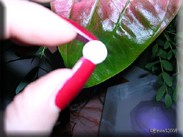 Bitte klicken fr Groansicht